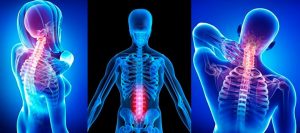 mecanógrafo unos pocos Mendicidad ✓ ▷ Osteopatía | Dolor de Espalda y Patologías en Columna Vertebral